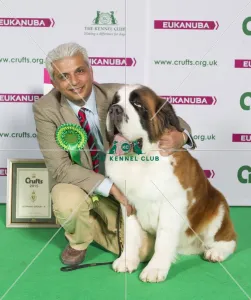 Crufts 2015