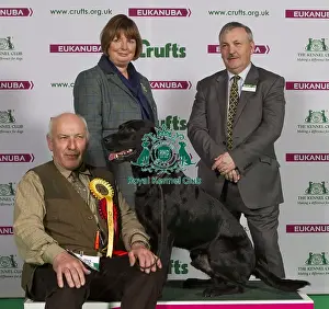 Crufts 2015