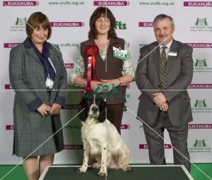 Crufts 2015