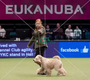 Crufts 2015