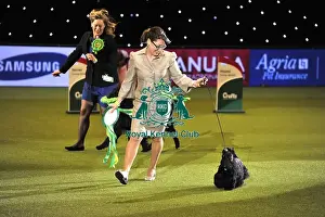 Crufts 2015