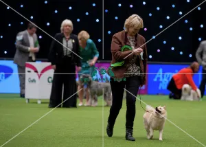 Crufts 2015