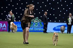 Crufts 2015