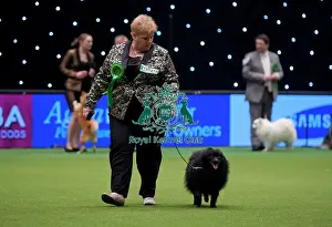 Crufts 2015