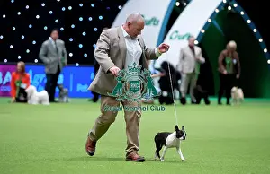 Crufts 2015