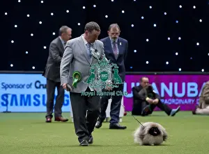 Crufts 2015