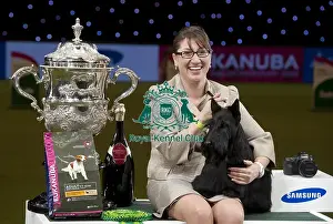 Crufts 2015