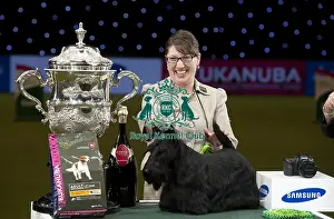 Crufts 2015