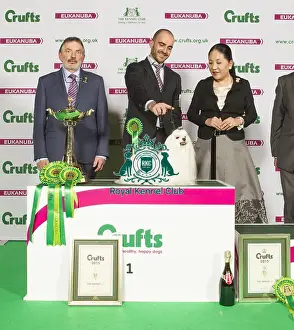 Crufts 2015