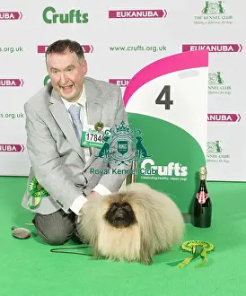 Crufts 2015