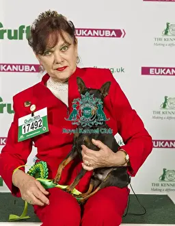 Crufts 2015