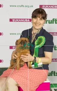 Crufts 2015