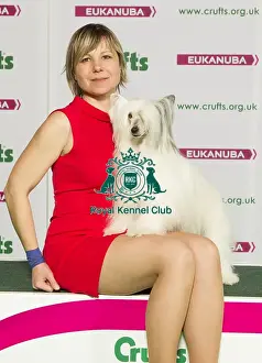 Crufts 2015