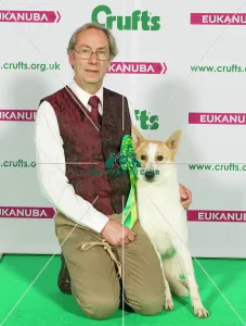 Crufts 2015