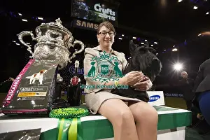 Crufts 2015