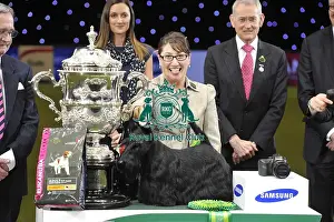 Crufts 2015