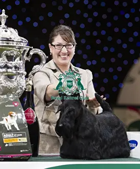 Crufts 2015