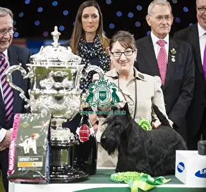 Crufts 2015