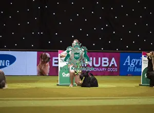Crufts 2015