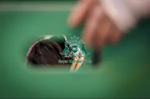 Crufts 2015