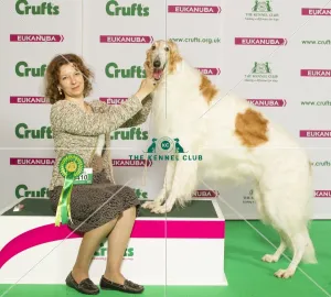 Crufts 2015