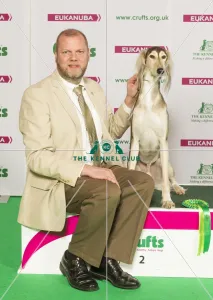 Saluki