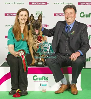 Crufts 2015