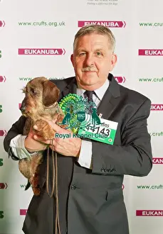 Crufts 2015