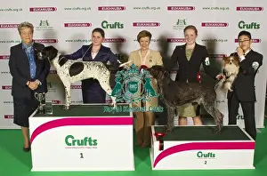Crufts 2015