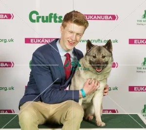 Crufts 2015