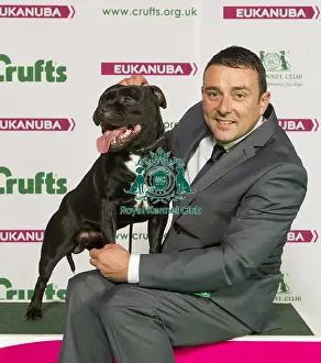 Crufts 2015