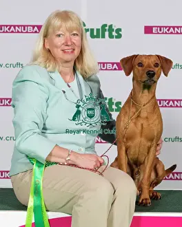 Crufts 2015