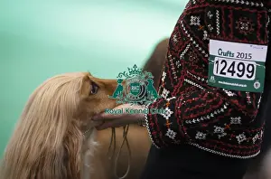 Crufts 2015