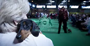 Crufts 2015