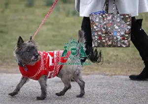 Crufts 2015
