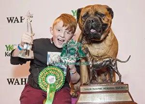 Crufts 2015