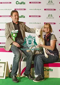 Crufts 2015