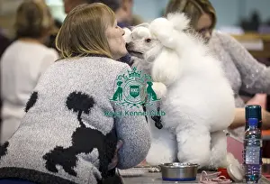Crufts 2015