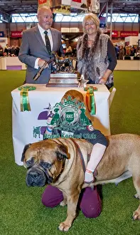 Crufts 2015