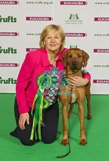Crufts 2015
