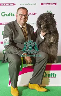Crufts 2015