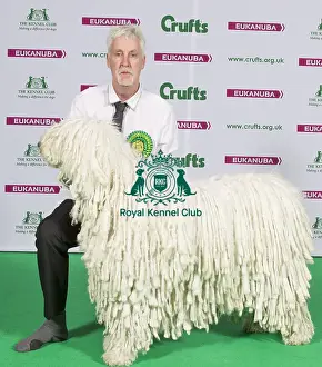Crufts 2015