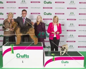 Airedale Terrier