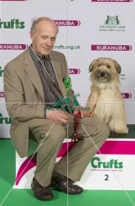 Pyrenean Sheepdog
