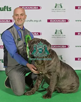 Crufts 2015