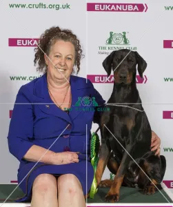 Crufts 2015