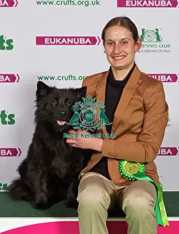 Crufts 2015