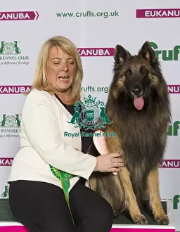 Crufts 2015
