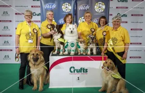PAT dog of the year