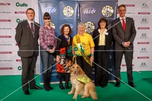 PAT dog of the year
